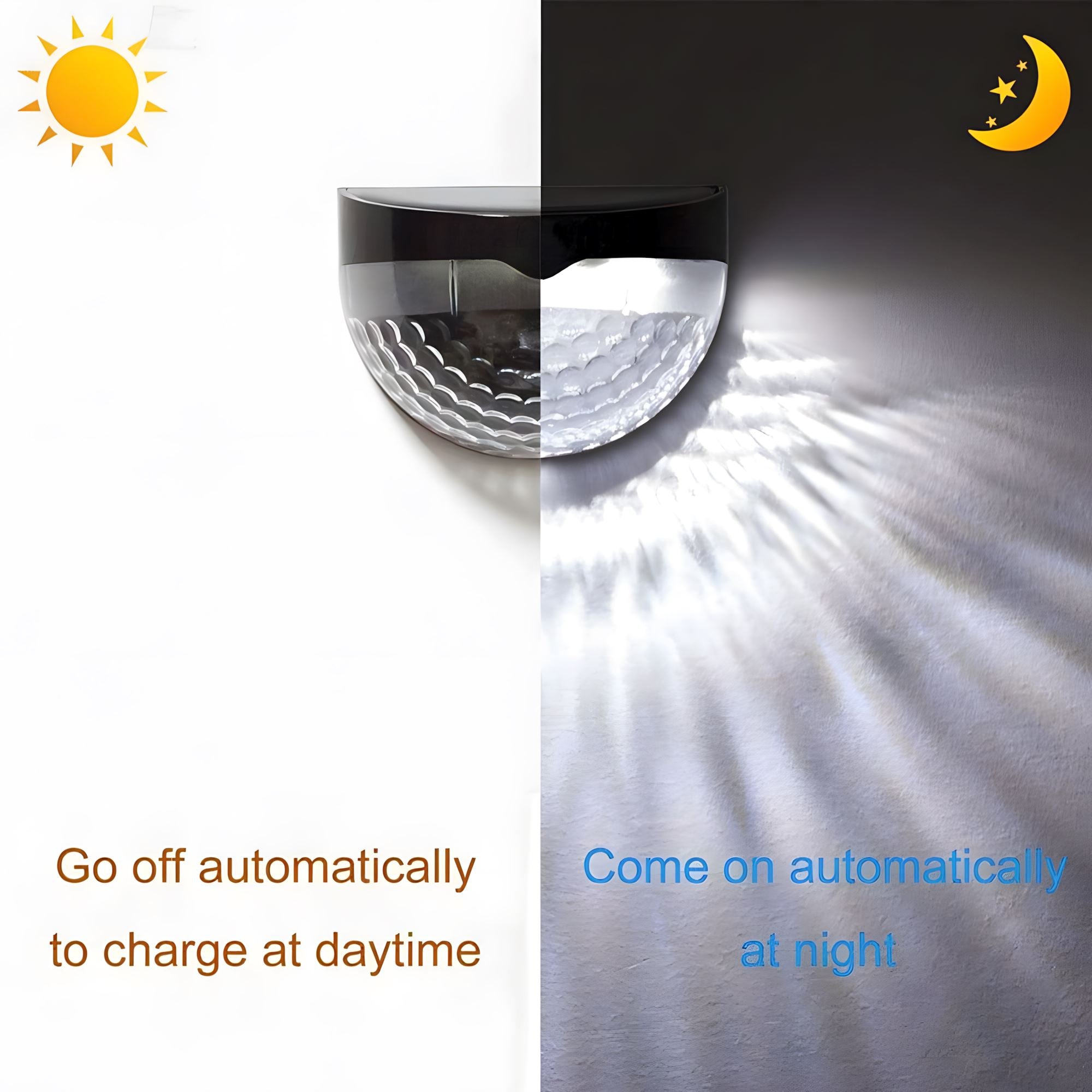 CLAIRE - ZENDUCE - 8