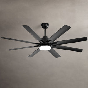 Ceiling Fan