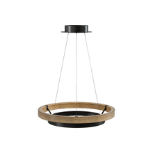 Low-angle installed view of the walnut ORLUNEA rings and black ceiling canopy.
