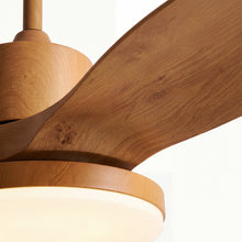 Black-housing SKAGEN fan isolated with five curved wood blades and a center light.