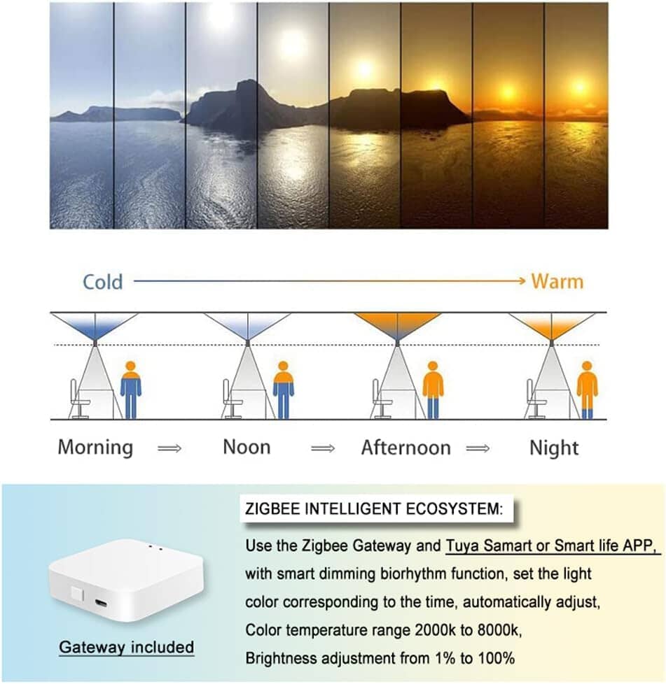 AZURE - ZENDUCE - 1FTx1FT