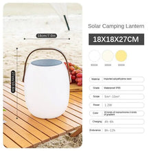 Ariella - ZENDUCE - Small