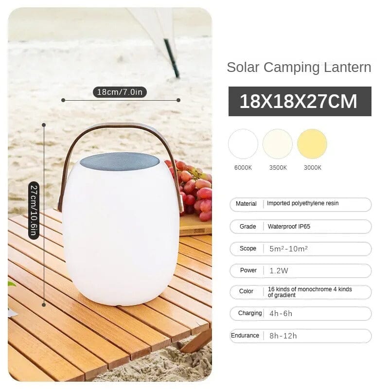 Ariella - ZENDUCE - Small