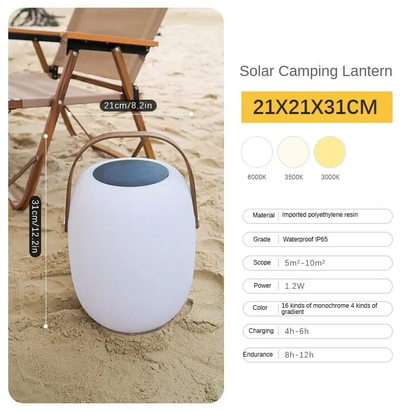 Ariella - ZENDUCE - Large