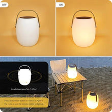Ariella - ZENDUCE - Small