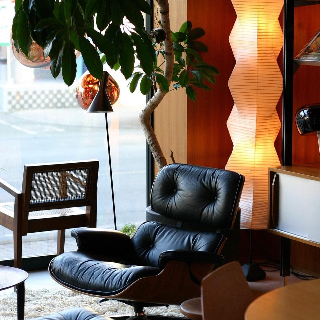 CALIRA-Pure Mulberry paper Light-ZENDUCE