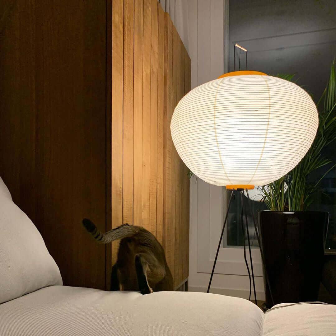 CALIRA-Pure Mulberry paper Light-ZENDUCE