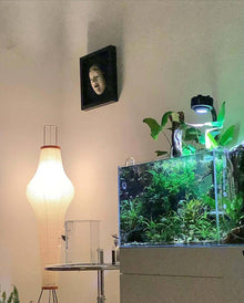 CALIRA-Pure Mulberry paper Light-ZENDUCE