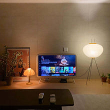 CALIRA-Pure Mulberry paper Light-ZENDUCE
