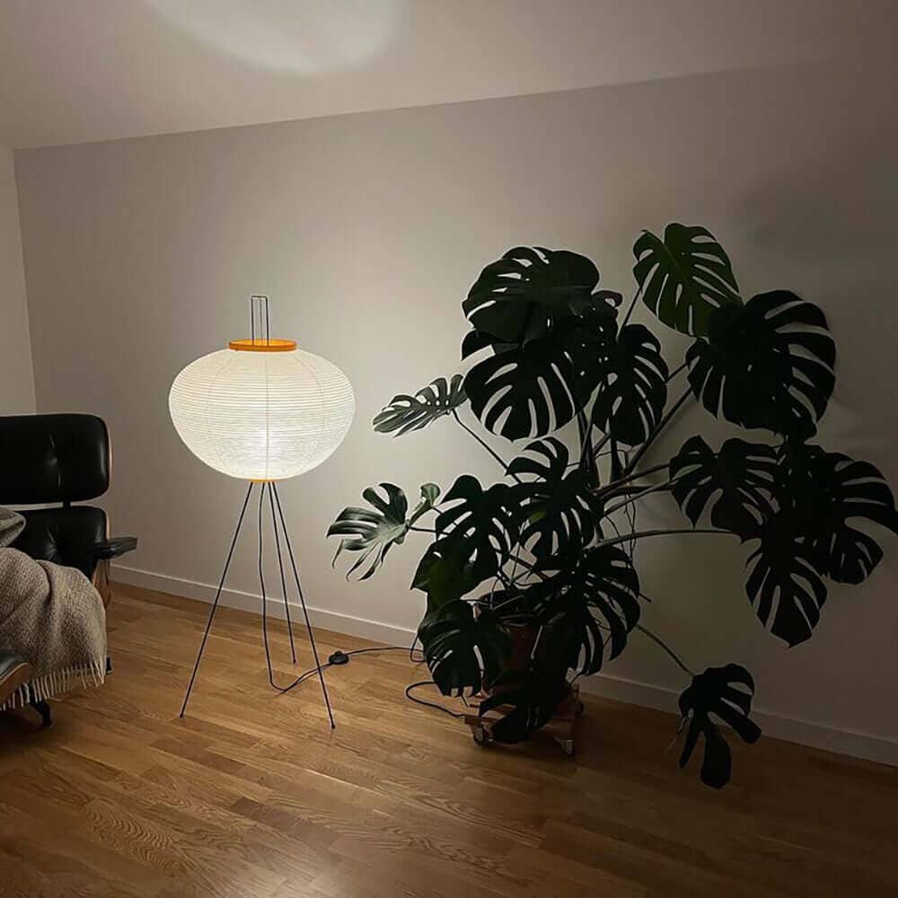 CALIRA-Pure Mulberry paper Light-ZENDUCE