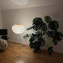 CALIRA-Pure Mulberry paper Light-ZENDUCE