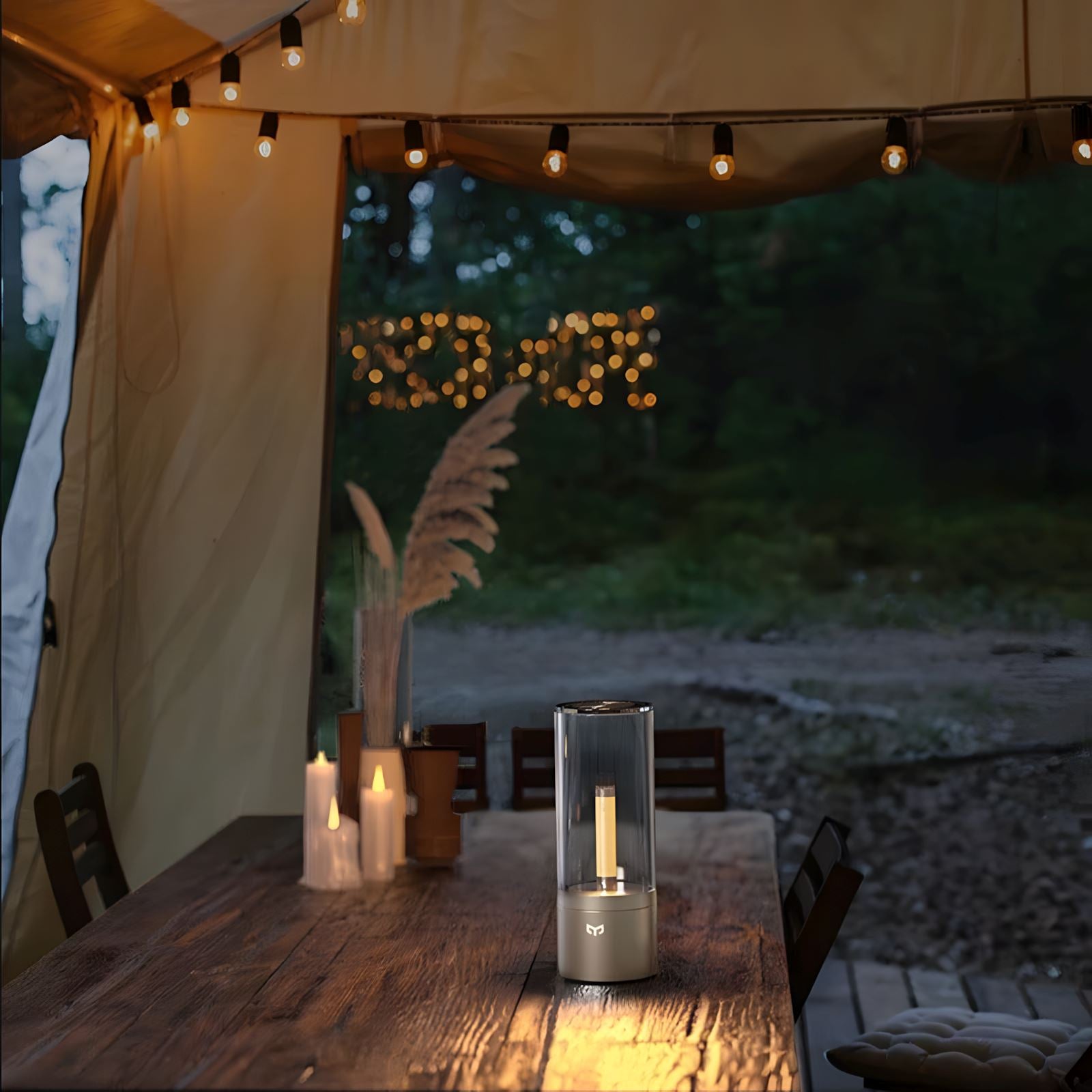 CANDEL - ZENDUCE - Default Title