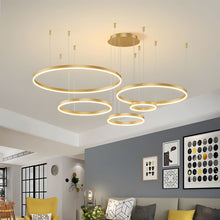 CIRCLETS - ZENDUCE - Black / 1 Ring - 15.7" / 40cm - 20W / Cool White - No Remote