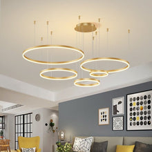 CIRCLETS (OPEN BOX) - ZENDUCE - Black / 5 Rings - 15.7" + 23.6" + 31.5" + 23.6" + 15.7"/ 40cm + 60cm + 80cm + 60cm + 40cm - 165W / Cool White - No Remote