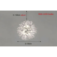 DANDELION (Open Box)