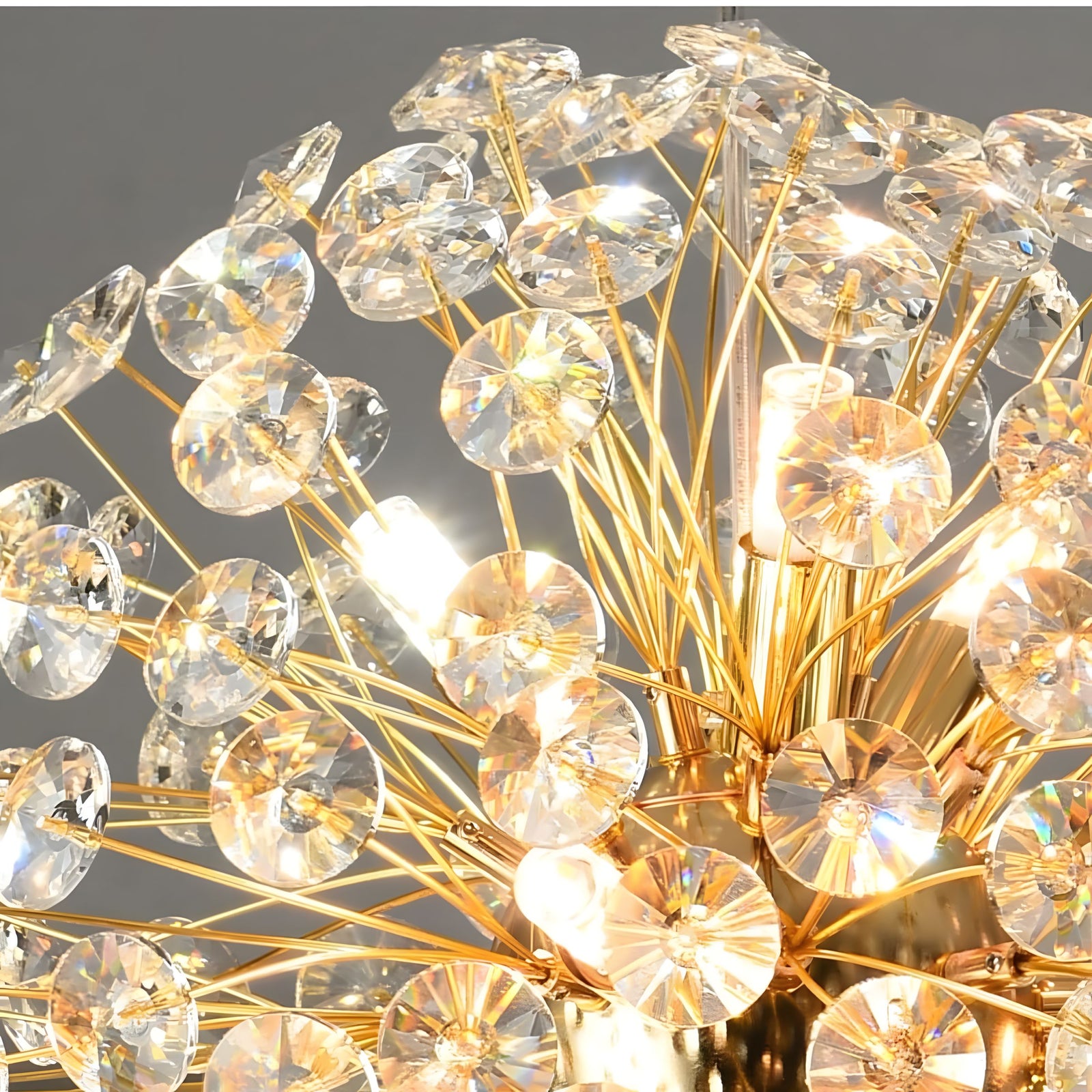 DAYA-Ring Style Crystal Chandelier-ZENDUCE