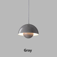 EMILINA - ZENDUCE - Grey