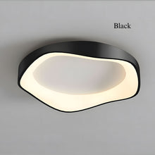 FLAIR (OPEN BOX)-Modern Ceiling Wall Lamp-ZENDUCE
