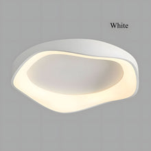 FLAIR (OPEN BOX)-Modern Ceiling Wall Lamp-ZENDUCE