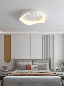 FLAIR (OPEN BOX)-Modern Ceiling Wall Lamp-ZENDUCE
