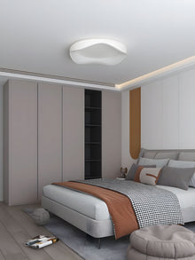 FLAIR (OPEN BOX)-Modern Ceiling Wall Lamp-ZENDUCE