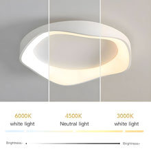 FLAIR (OPEN BOX)-Modern Ceiling Wall Lamp-ZENDUCE
