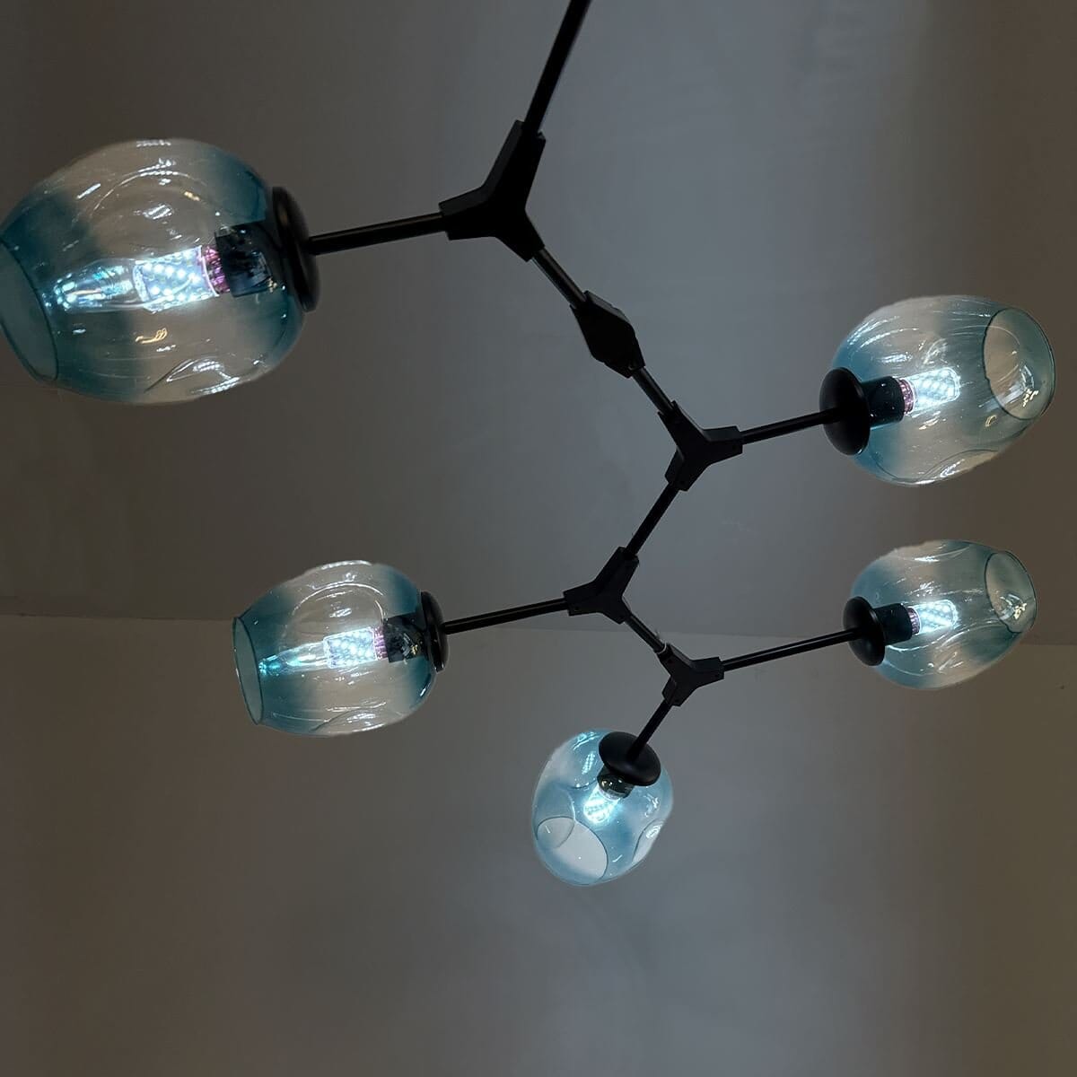 FREYA - ZENDUCE - Black / Clear / 6 Heads