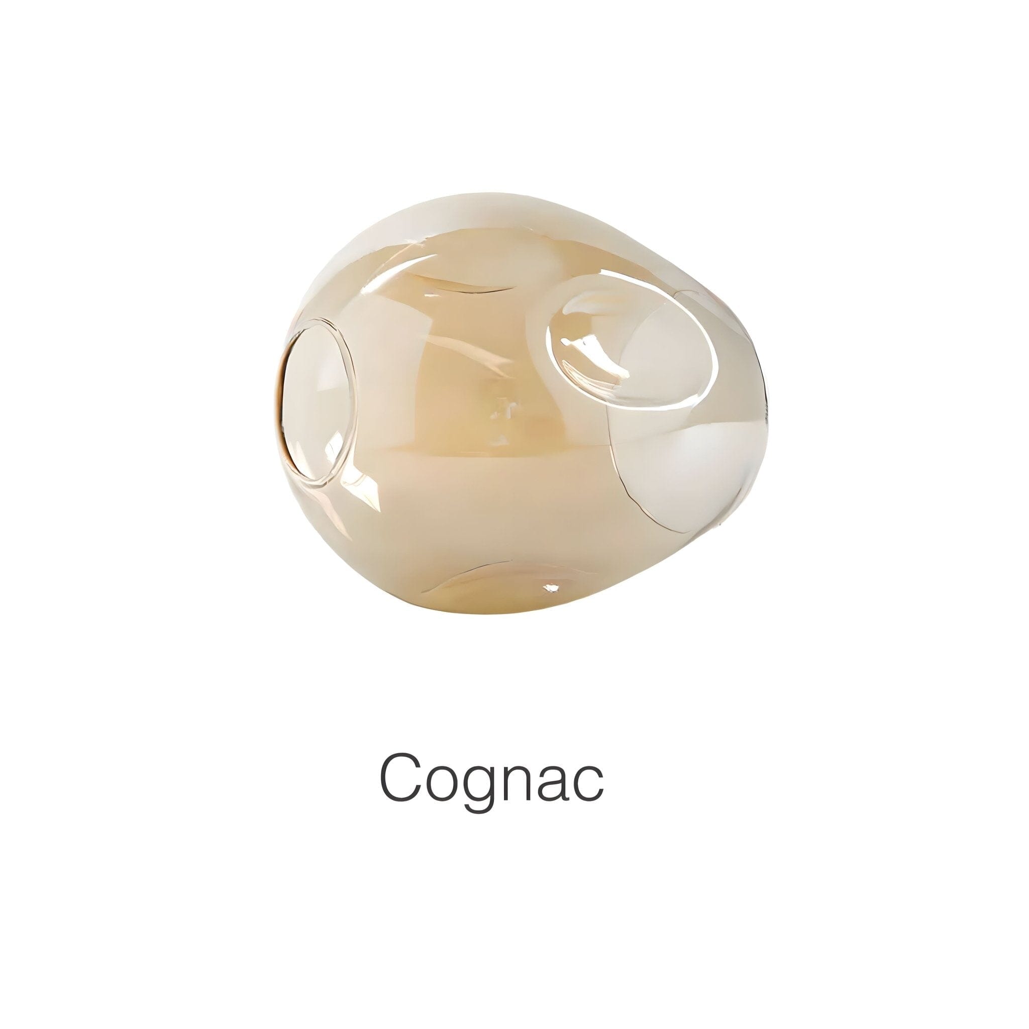 FREYA - ZENDUCE - Black / Clear / 6 Heads