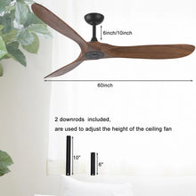 NOELIA ceiling fan lifestyle view 2