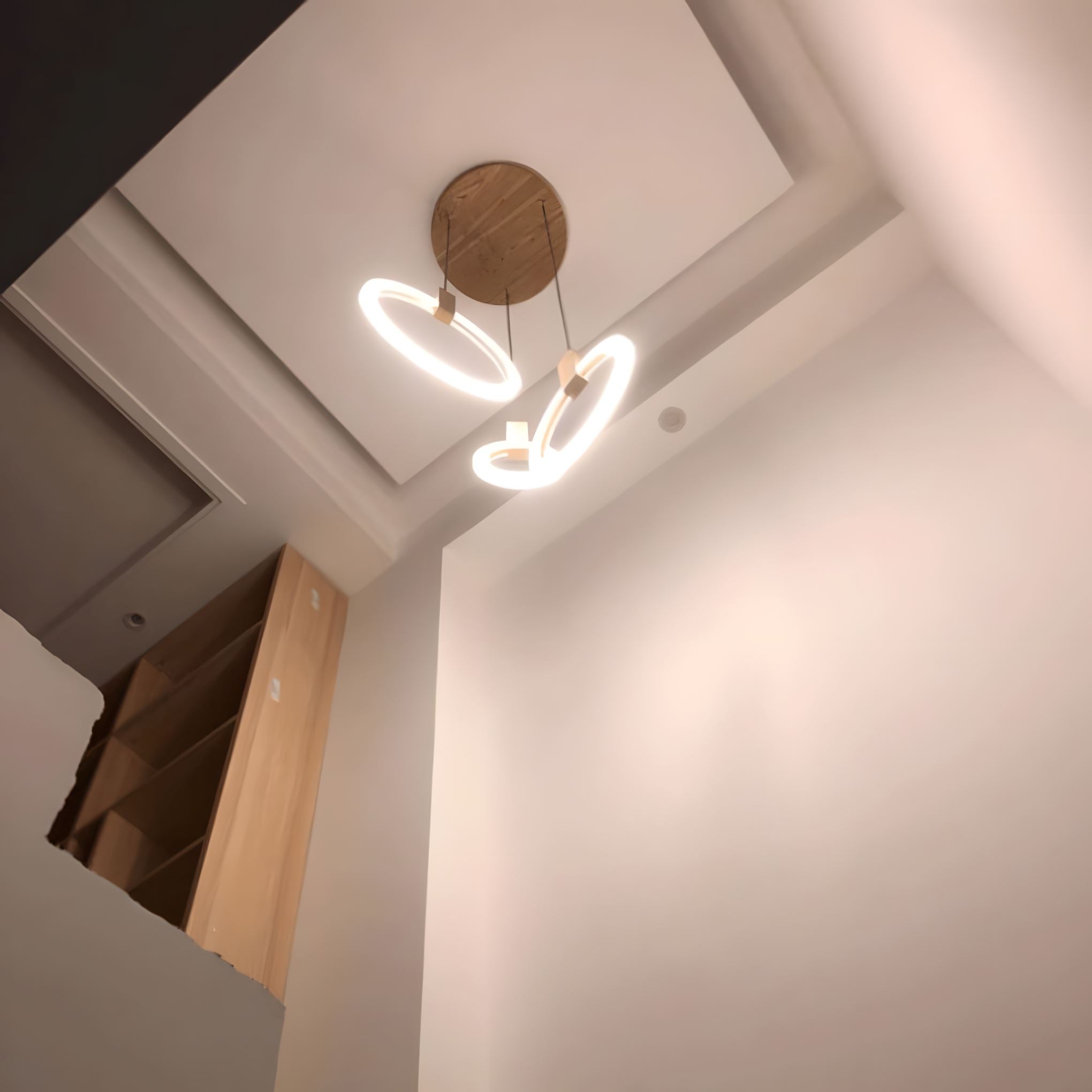 HALO - ZENDUCE - 1 Light Ring / Warm Light