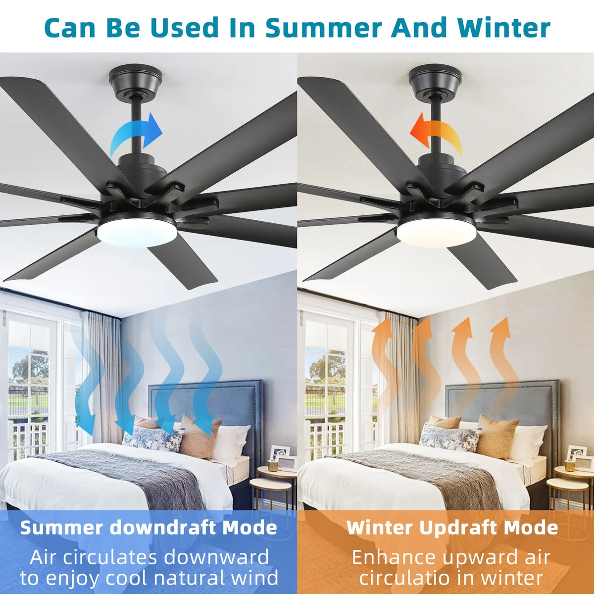 ADELIA - Eight Blade Fan Light - Zenduce