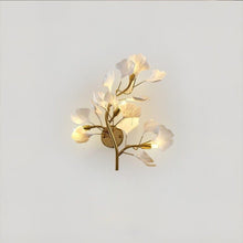 JASMINE - ZENDUCE - Tricolor