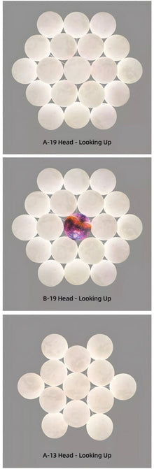 LUNARIA - ZENDUCE - 7 Heads / Cool White / Starry Ball