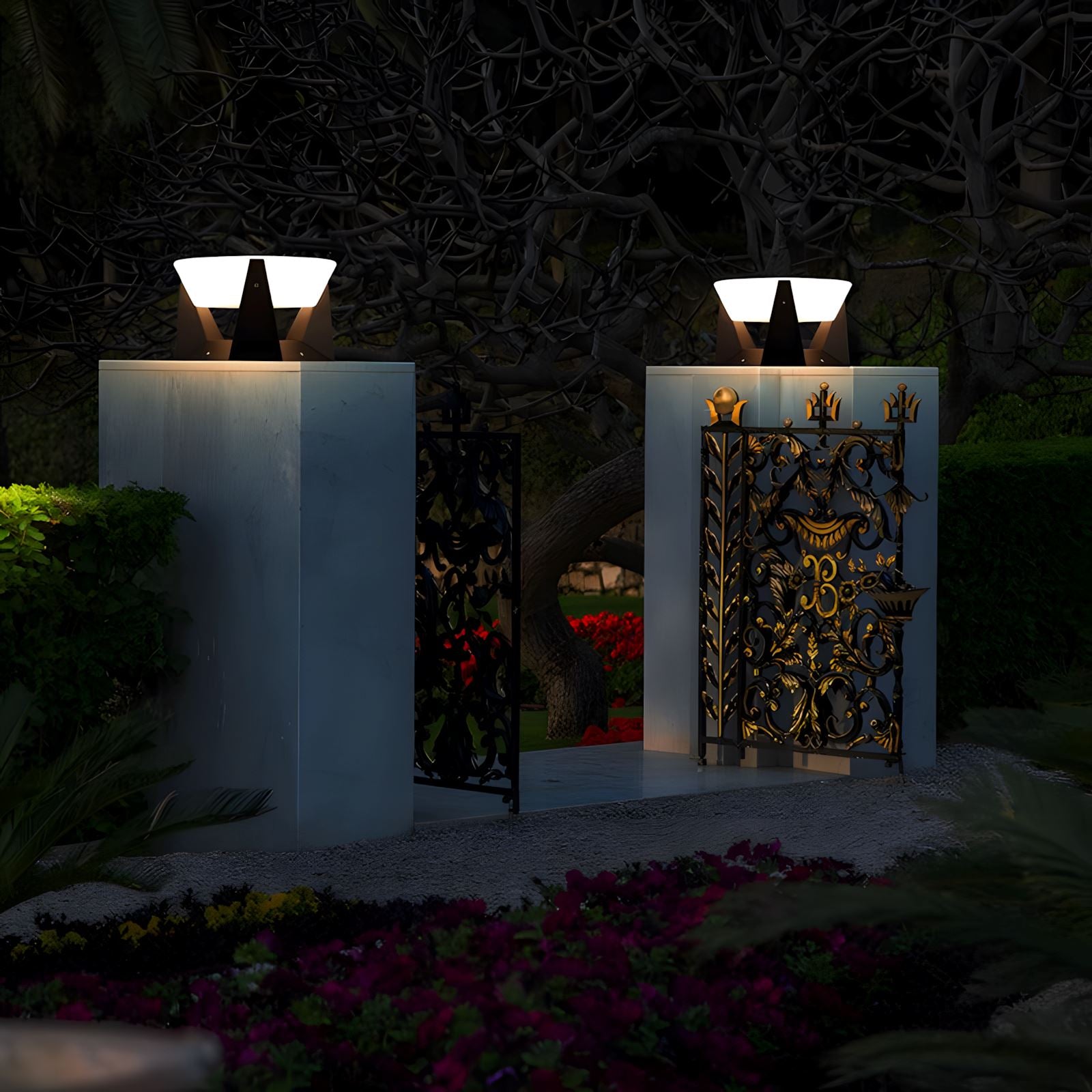 NOCTARA - ZENDUCE - Small / Solar