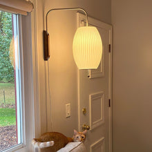 ORBIX-Wall hanging Light-ZENDUCE