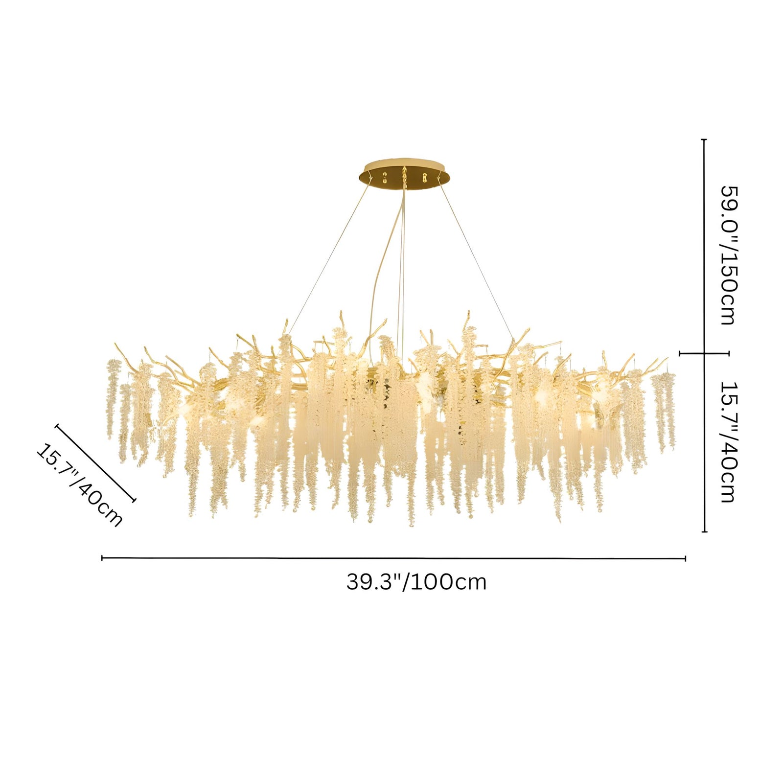 ORCHID - ZENDUCE - Oval / 39.3" / Warm White