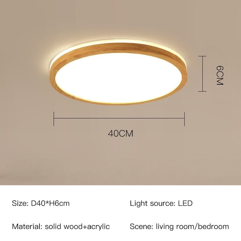 ORION - ZENDUCE - D40cm / Warm light-3000K