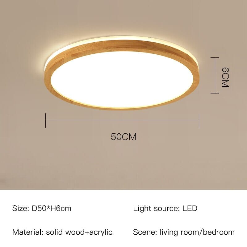 ORION - ZENDUCE - D40cm / Warm light-3000K