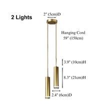 POONAH - ZENDUCE - 2-Light Pendant / Cool White 6000K