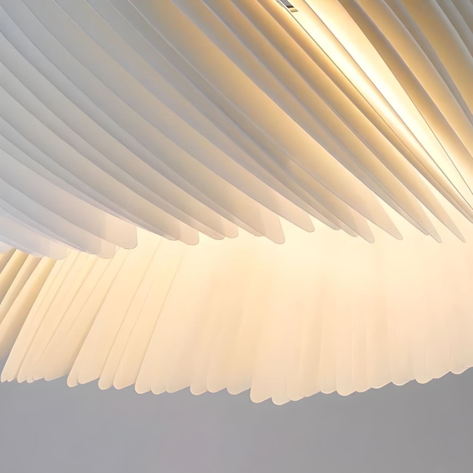 RAMOLLI - ZENDUCE - 24" / 60cm