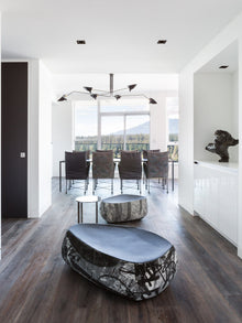 RAYVEN-Three Arm Ceiling Lamp-ZENDUCE