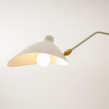 RAYVEN-Three Arm Ceiling Lamp-ZENDUCE