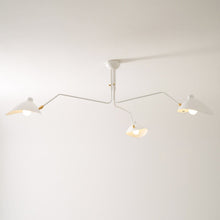RAYVEN-Three Arm Ceiling Lamp-ZENDUCE