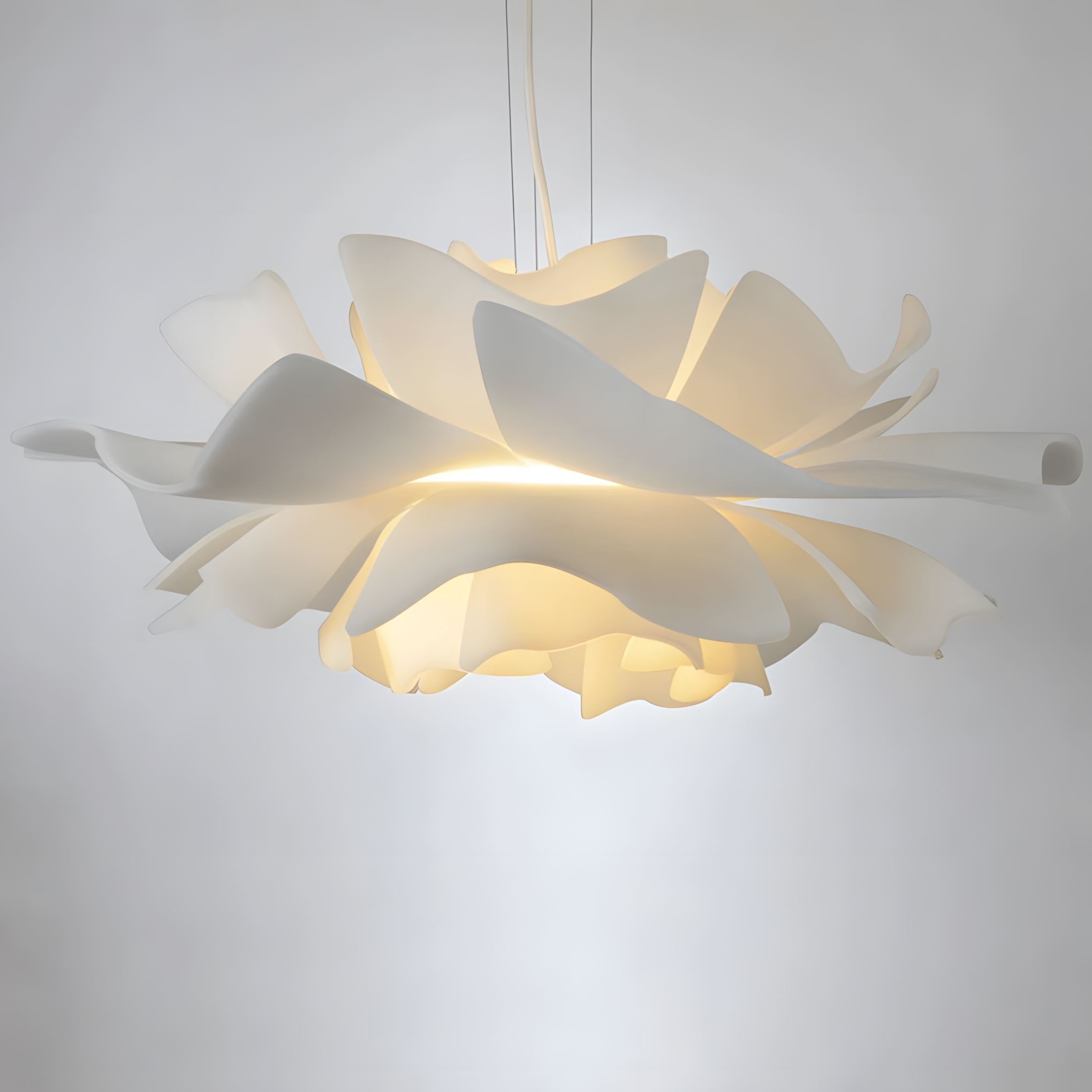 ROSE - ZENDUCE - A - 27.6" x 10.2" / 70cm x 26cm