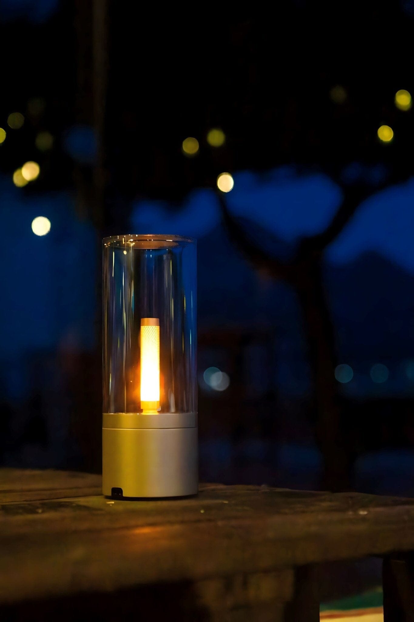 CANDEL