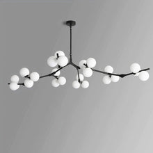 SYCAMORE - ZENDUCE - 12 Heads / Warm White / Black