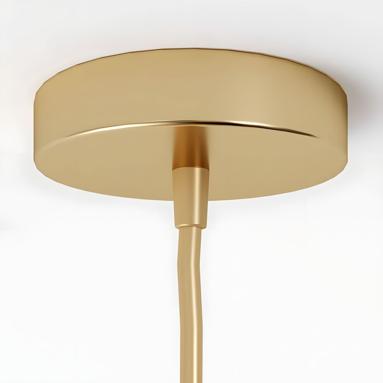 VELA