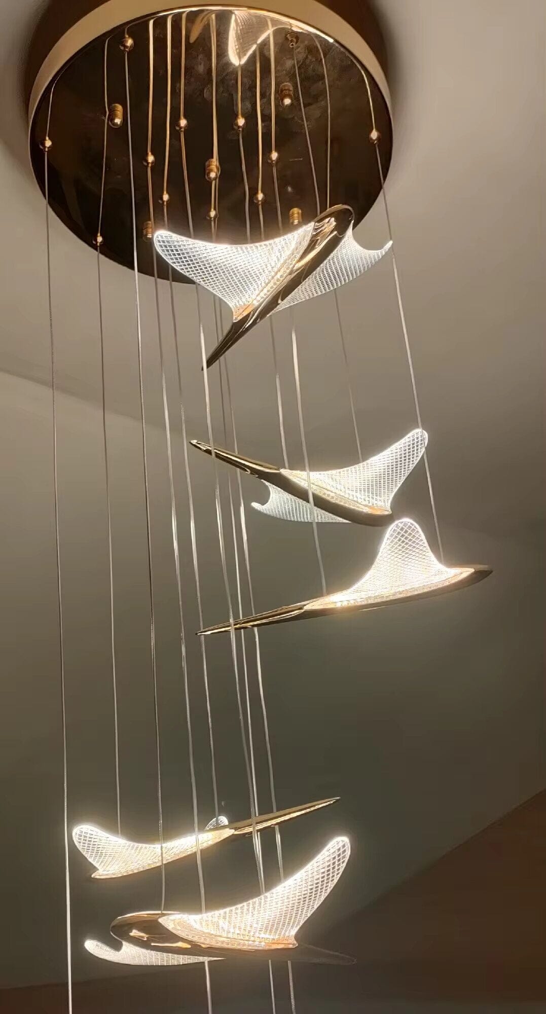 VOLANS - ZENDUCE - 8 Heads-Round Canopy ( ∅ 16" × H 98" ) / Warm White