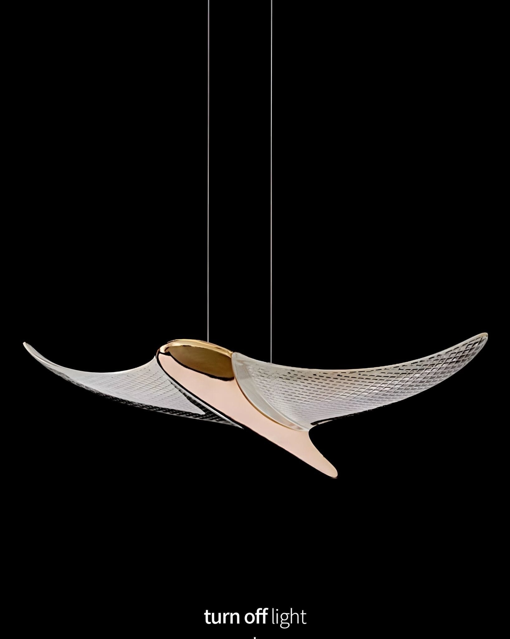 VOLANS - ZENDUCE - 8 Heads-Round Canopy ( ∅ 16" × H 98" ) / Warm White