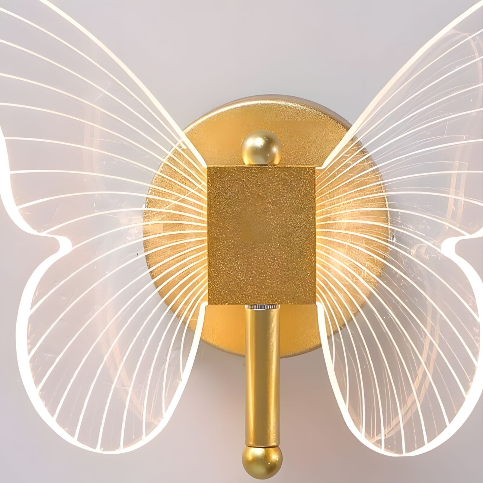 WINGS (Open Box)